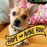Brimming Hope for Augie Roo